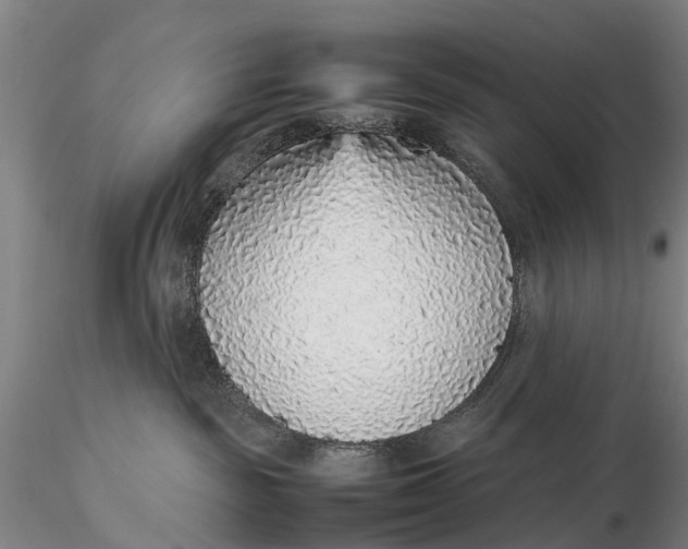 X0000115600189200912011535