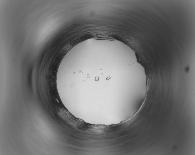 X0000115600190200912011535