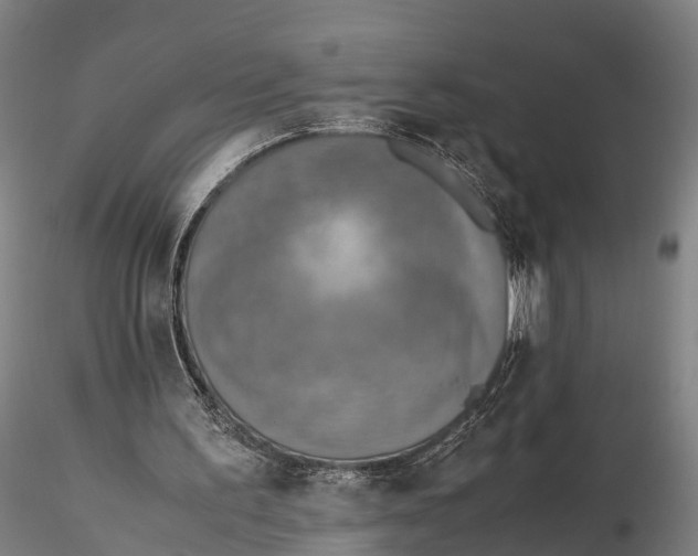 X0000115600195200912011534