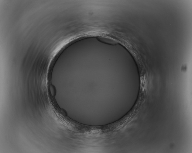 X0000115600196200912011534