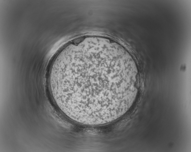 X0000115600199200912011534