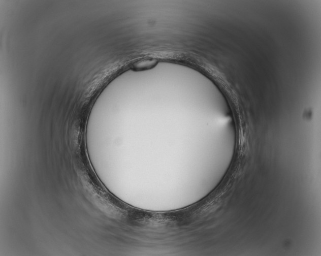 X0000115600201200912011534