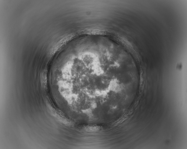 X0000115600202200912011534