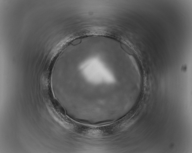 X0000115600203200912011534