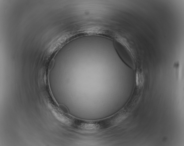 X0000115600205200912011534