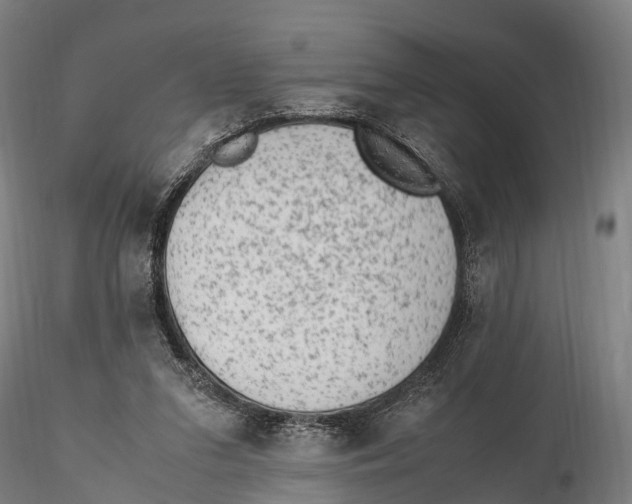 X0000115600207200912011534