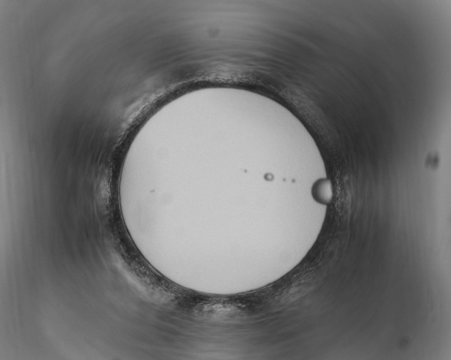 X0000115600208200912011534