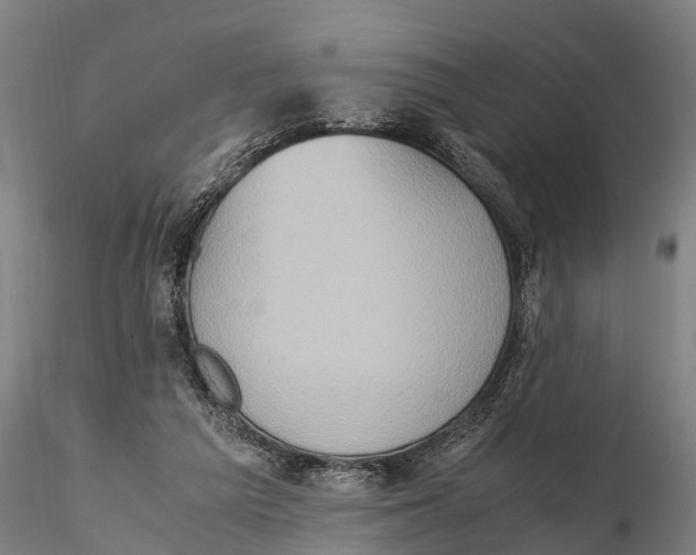 X0000115600209200912011534