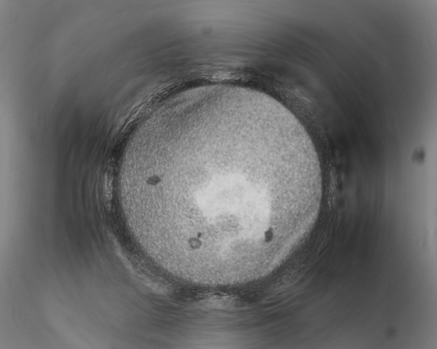 X0000115600210200912011534