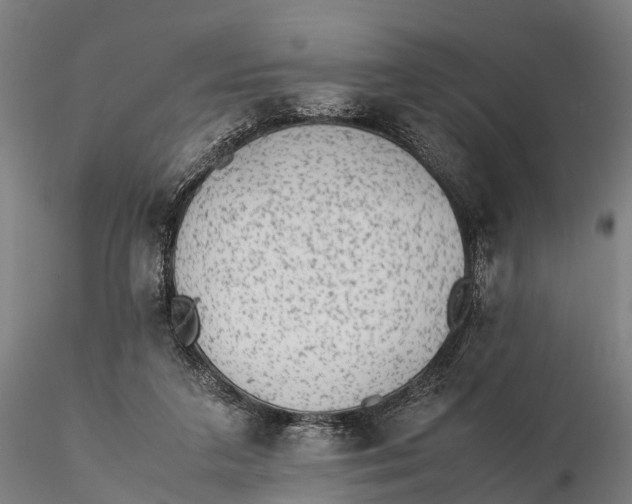 X0000115600211200912011534