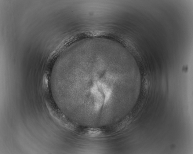 X0000115600214200912011534