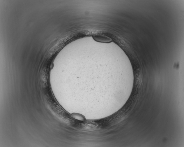 X0000115600215200912011534