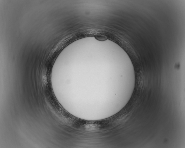 X0000115600216200912011534