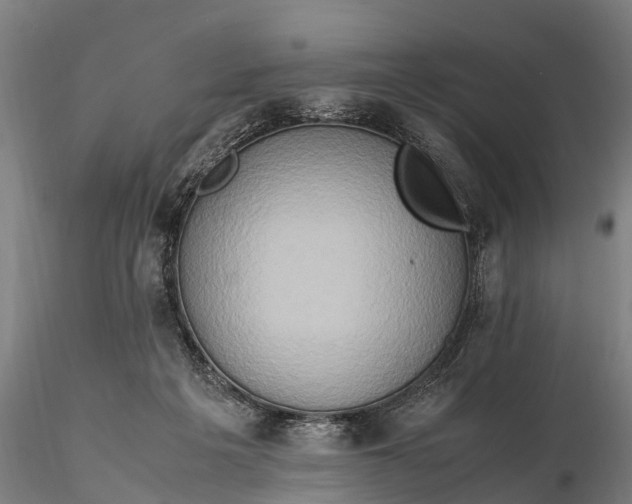 X0000115600217200912011534