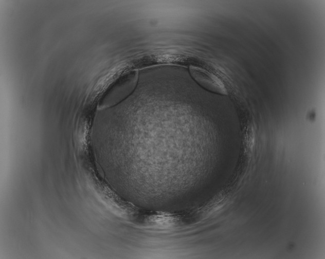 X0000115600219200912011534