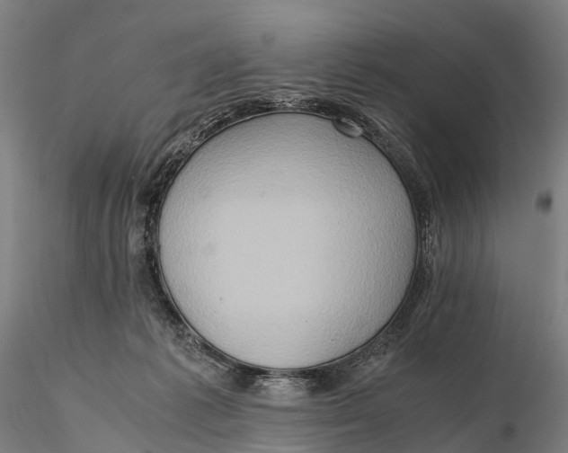 X0000115600221200912011534