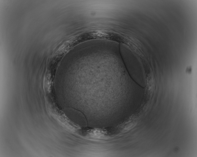 X0000115600223200912011534