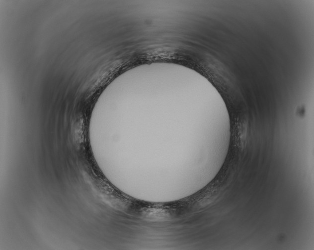 X0000115600224200912011534