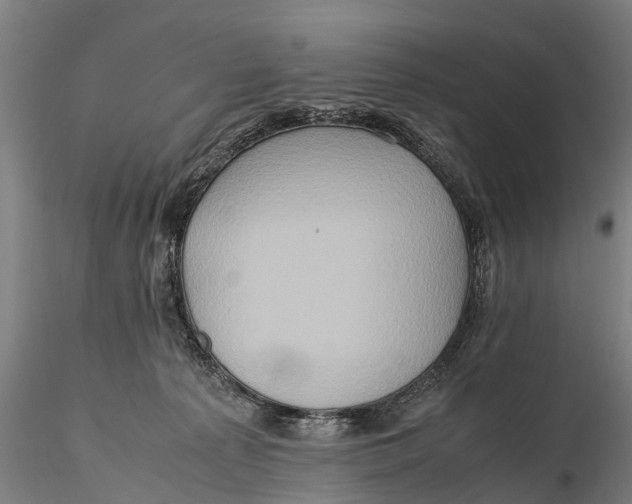 X0000115600225200912011534