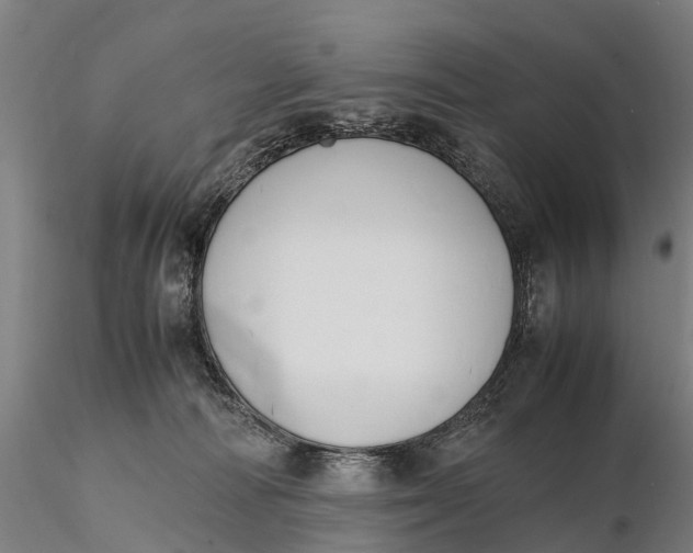 X0000115600226200912011534