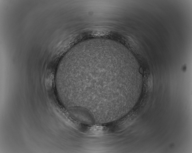 X0000115600227200912011534