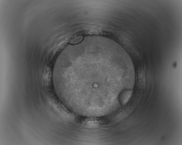 X0000115600228200912011534