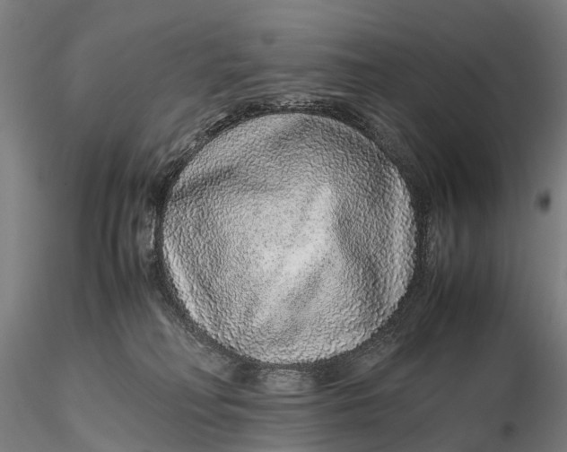 X0000115600230200912011534