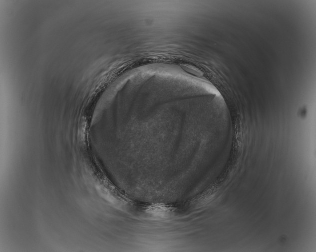 X0000115600231200912011534