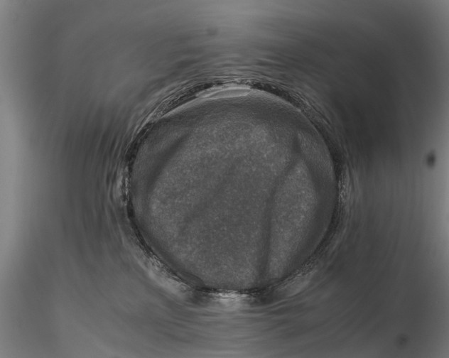 X0000115600233200912011534