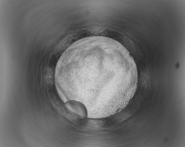 X0000115600234200912011534