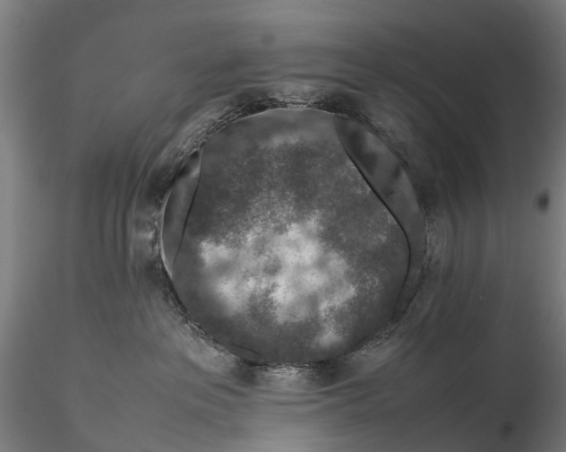 X0000115600237200912011534