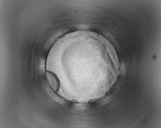 X0000115600238200912011534