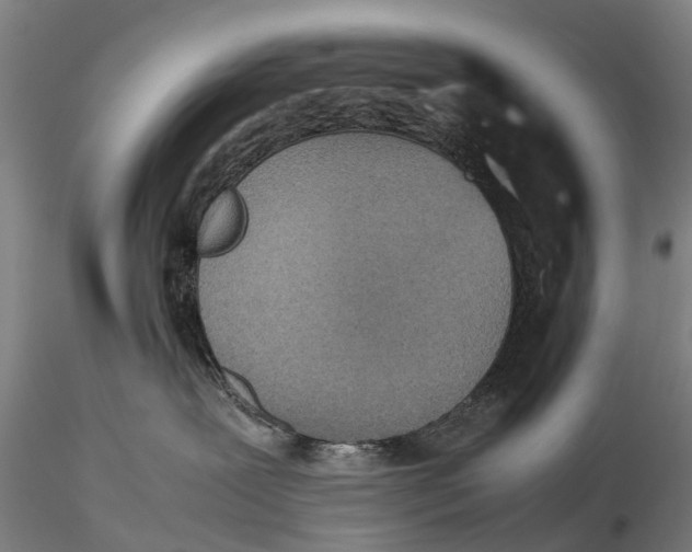 X0000115600239200912011534