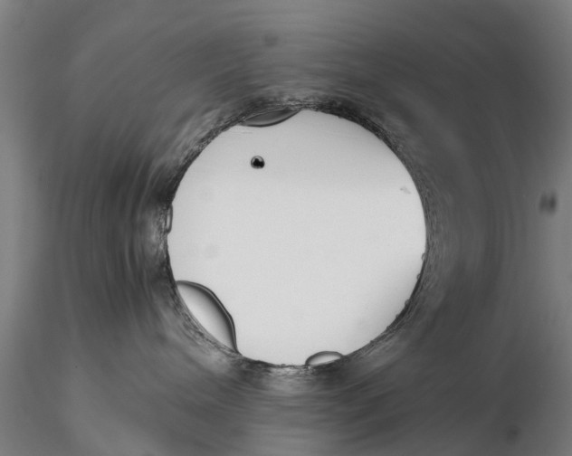 X0000115600240200912011534