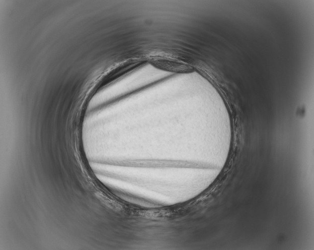 X0000115600241200912011533