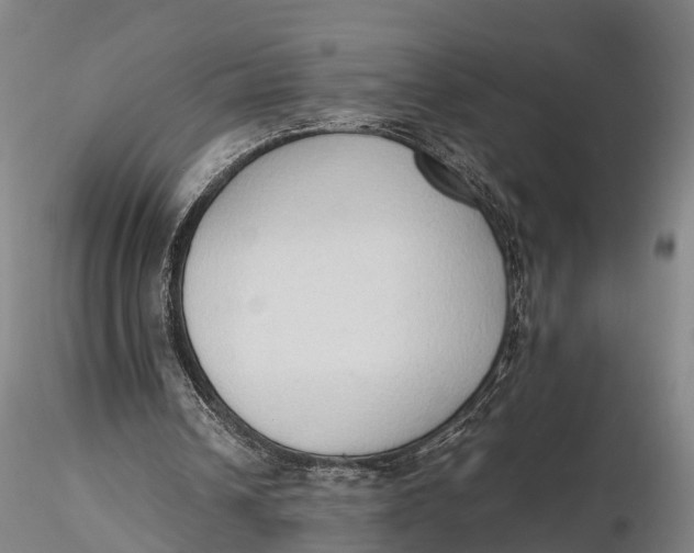 X0000115600242200912011533