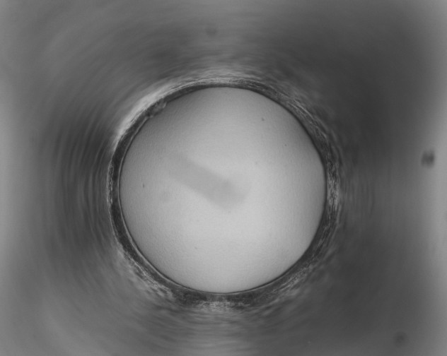 X0000115600244200912011533