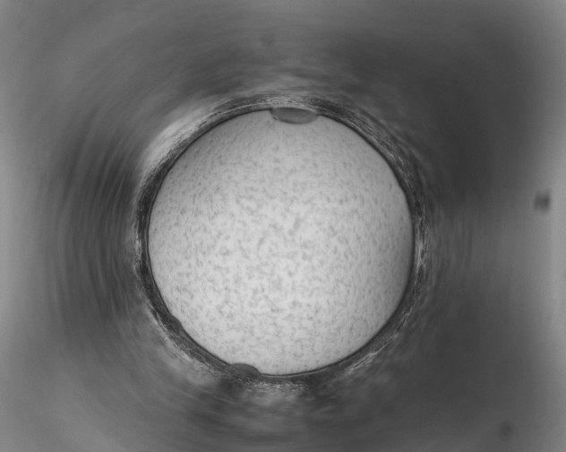 X0000115600245200912011533