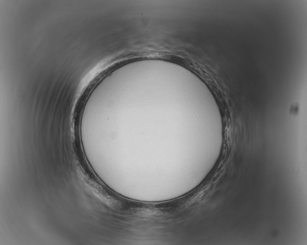 X0000115600246200912011533