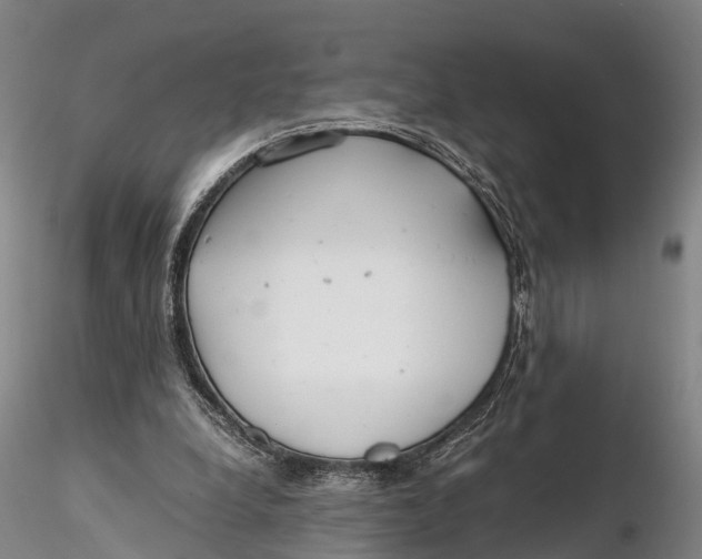 X0000115600248200912011533