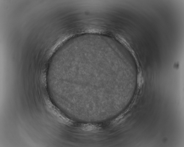 X0000115600249200912011533