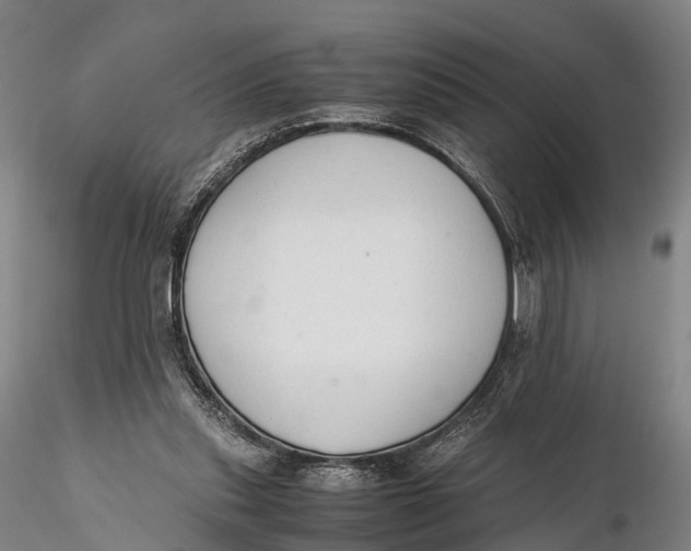 X0000115600253200912011533