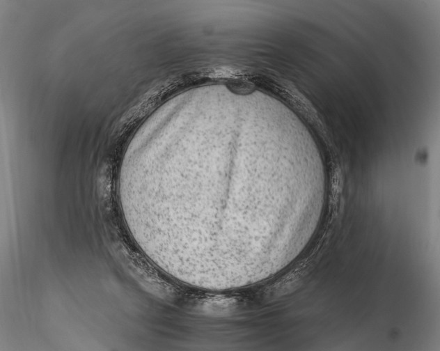 X0000115600257200912011533