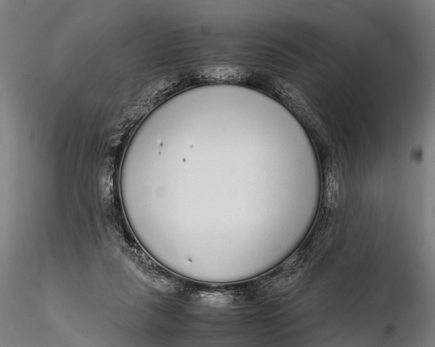 X0000115600259200912011533