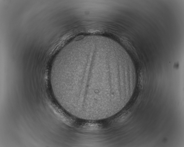 X0000115600260200912011533