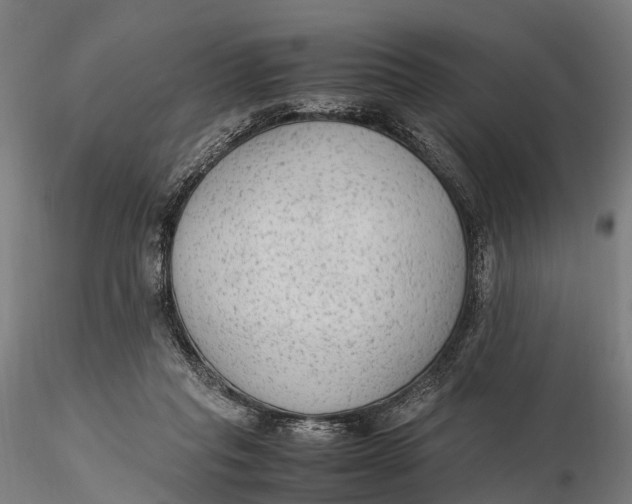 X0000115600261200912011533