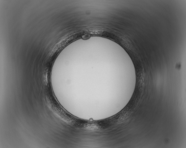 X0000115600262200912011533