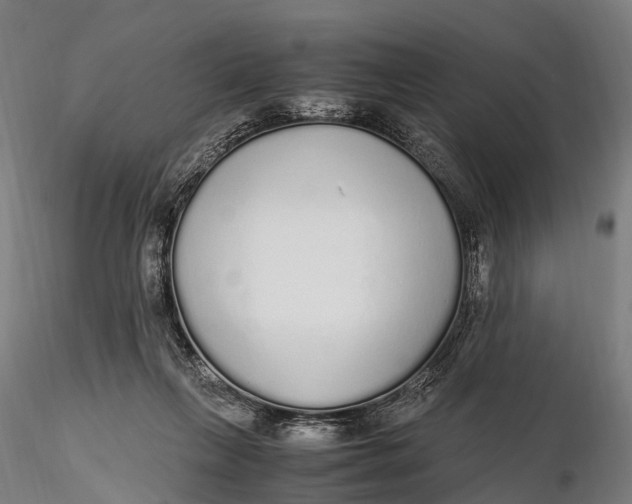 X0000115600263200912011533