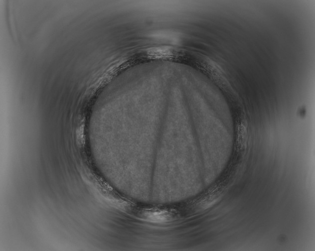 X0000115600267200912011533