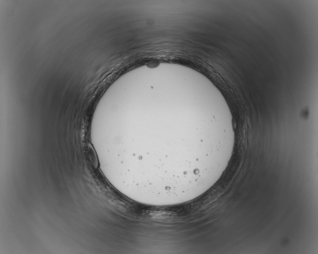 X0000115600268200912011533